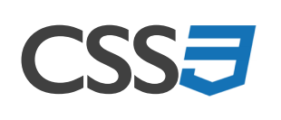 CSS3 logo